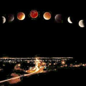 Meet your Posher, Yolie m